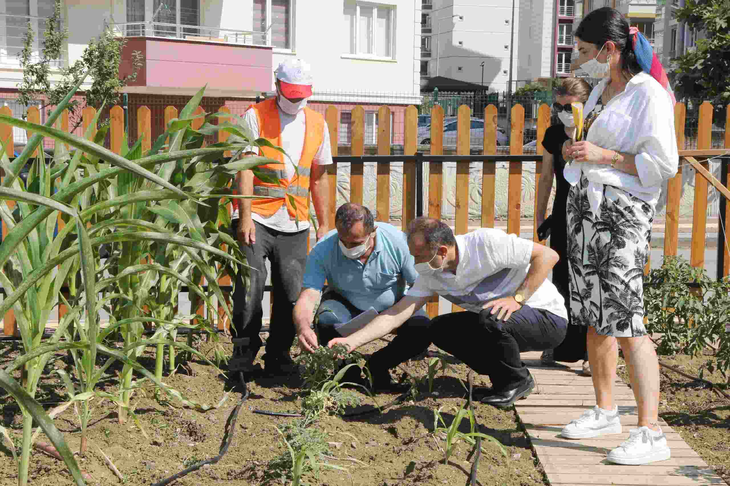 AtaTohum Merkezi Karadeniz’e Örnek Oldu
