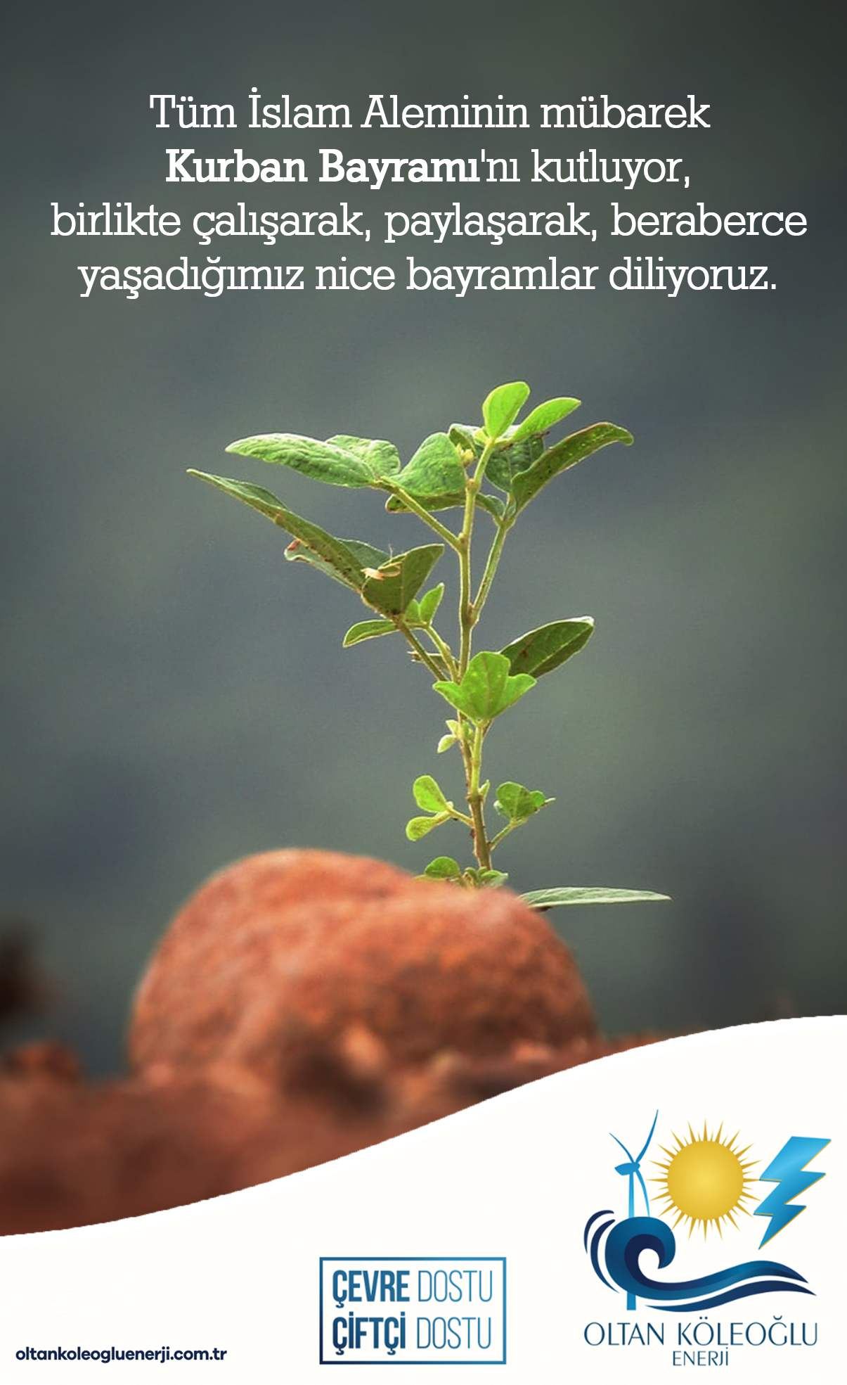 Oltan Köleoğlu Enerji Kurban Bayramı Mesajı