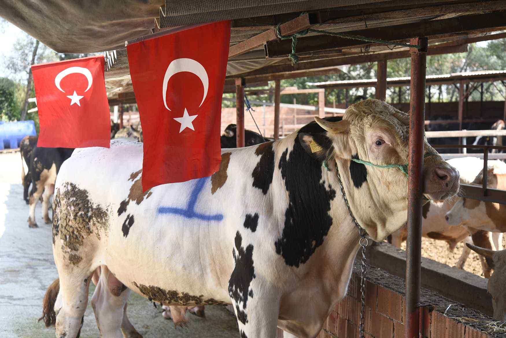 Tekkeköy’de Her Şehit İçin Kurban Kesilecek