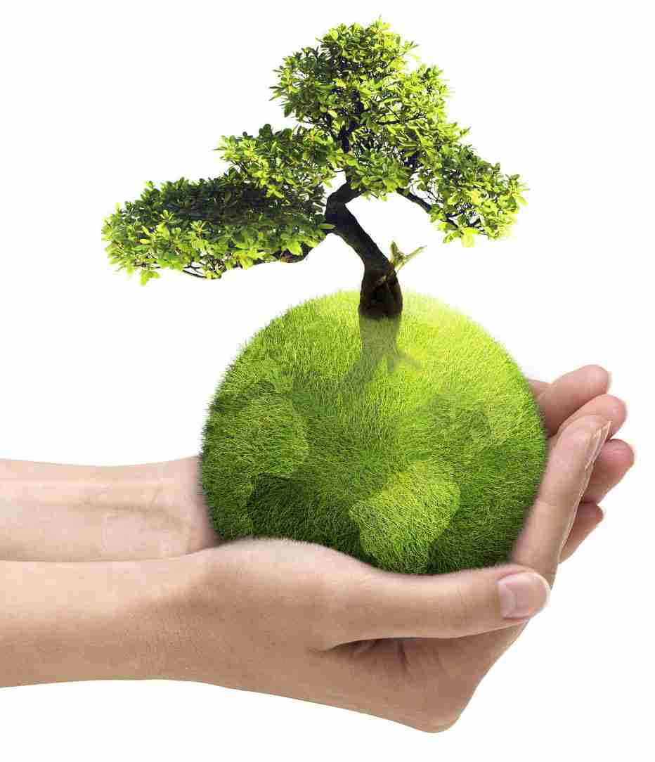 Tüm Yönleriyle Biyokütle Enerji – (9. Bölüm)