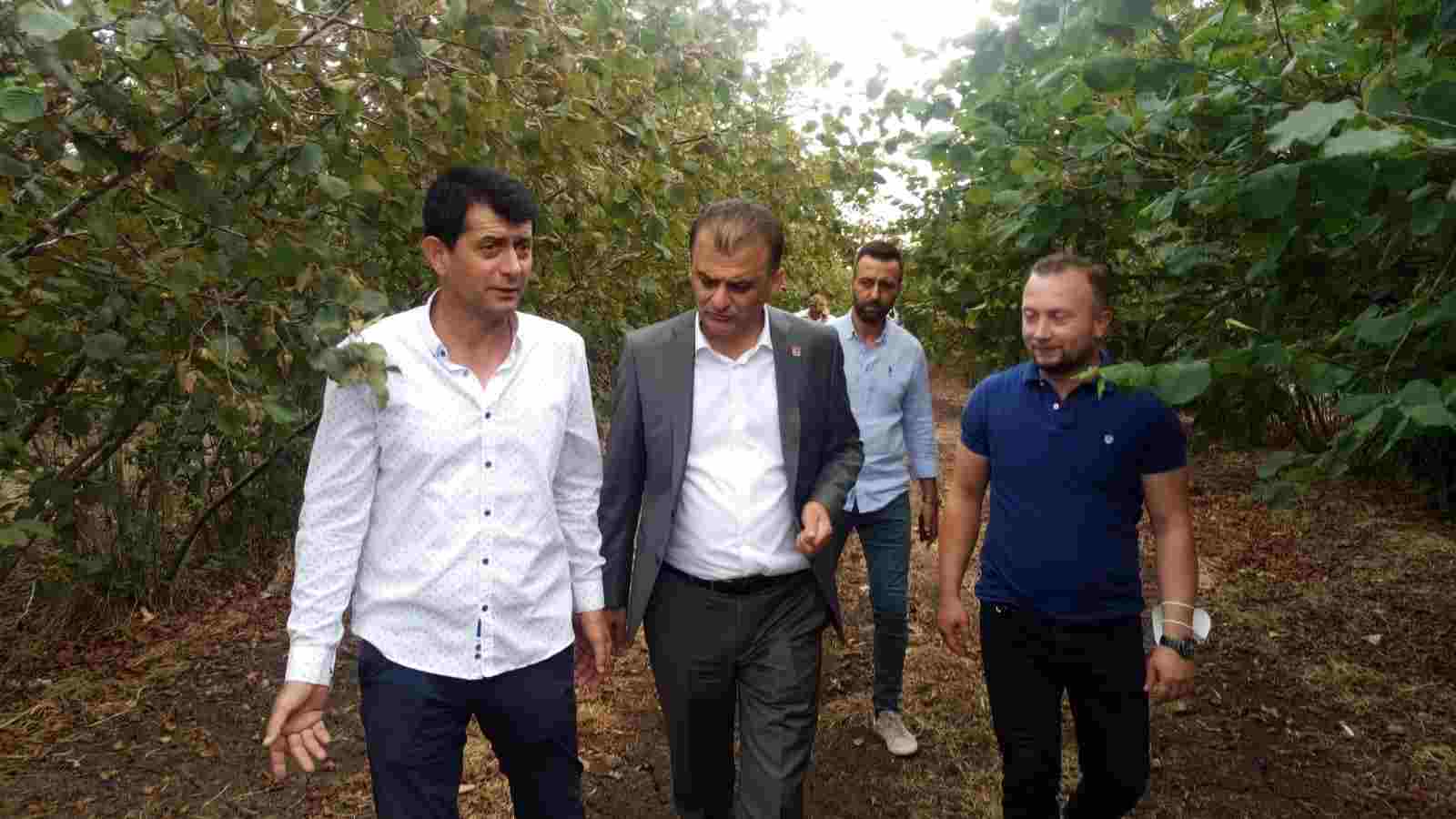 CHP Samsun'dan Terme Ovası'na Çıkarma
