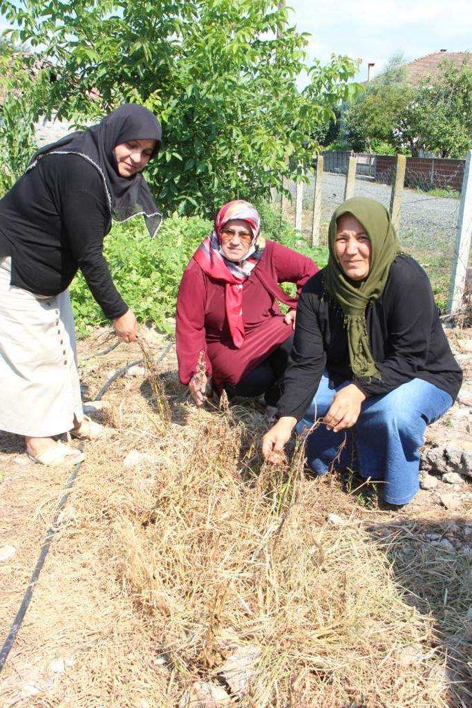 Çarşambalı Kadınlar, Kırşehir ve Çorum'daki Biyokütle Enerji Santrallerini Gezdiler