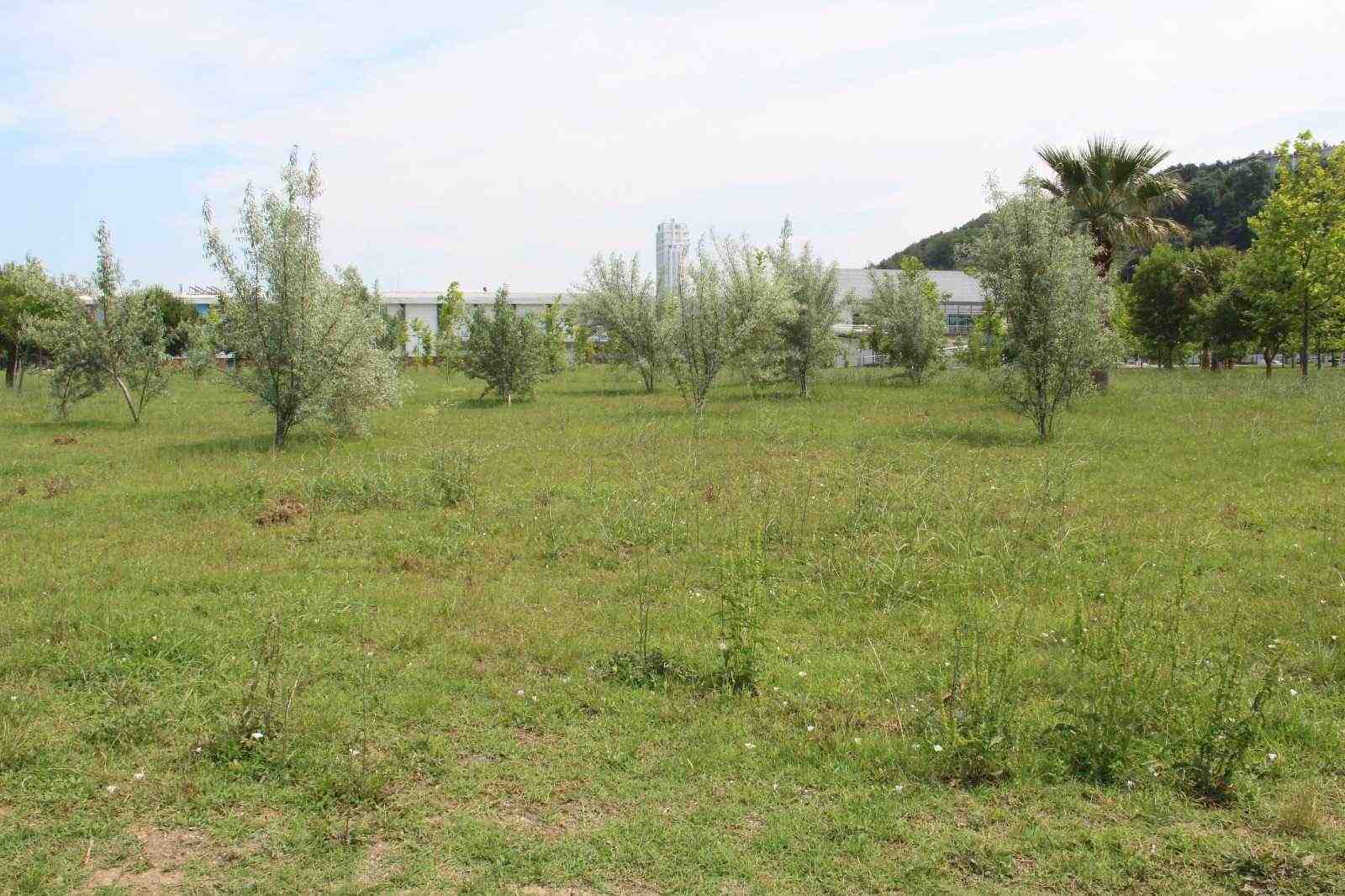 Samsun Büyükşehir Batıpark'ı 4 Yıl Verebildi
