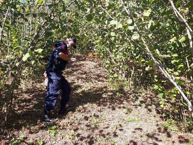 Terme'deki Cinayet Aydınlandı