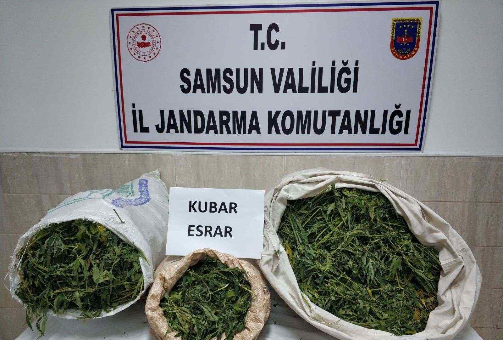 Samsun'da 48 Kilo Esrar Yakalandı 70 Kişi Gözaltında