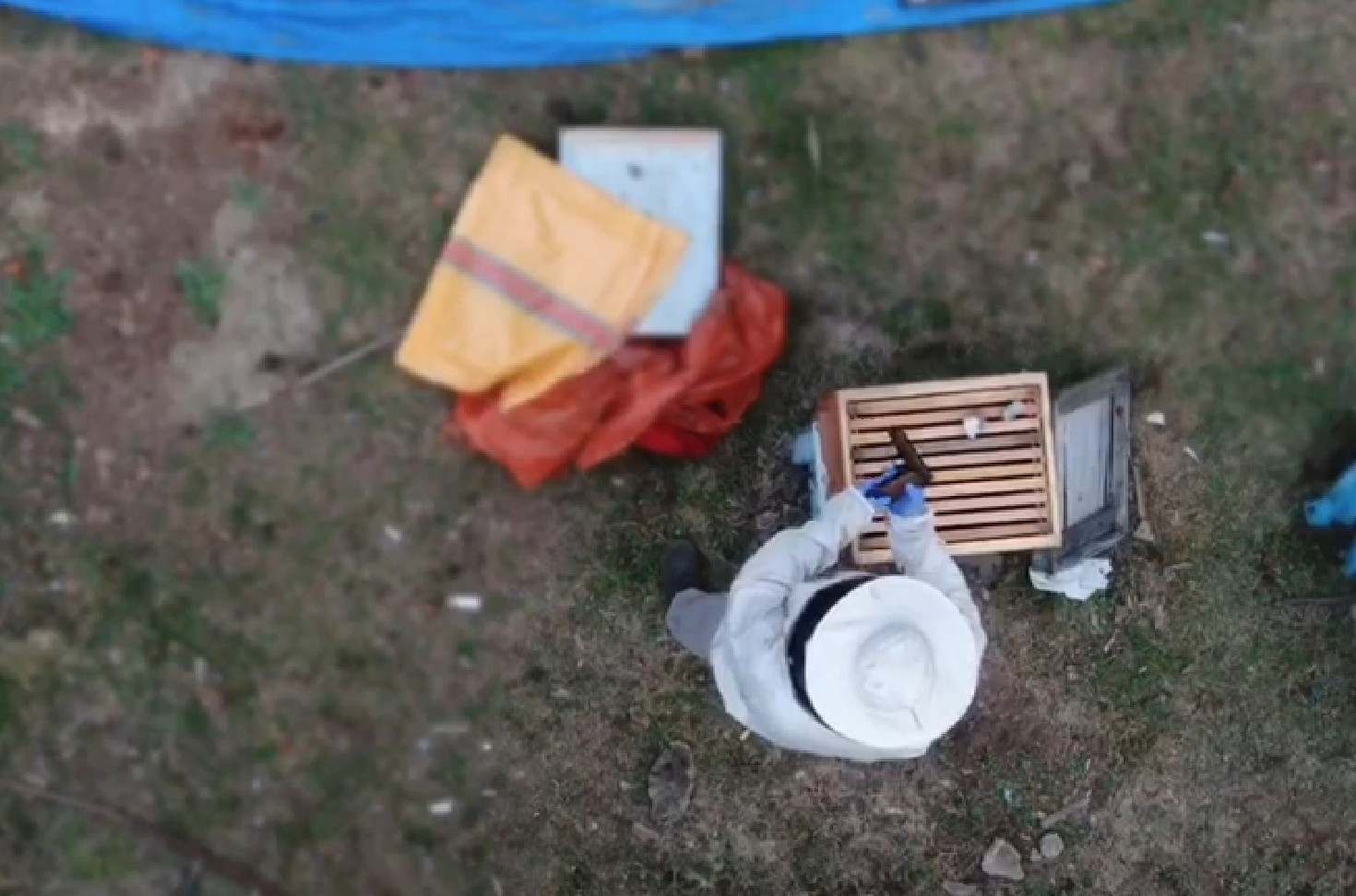 Arı Kovanına Esrar Gizlemiş!
