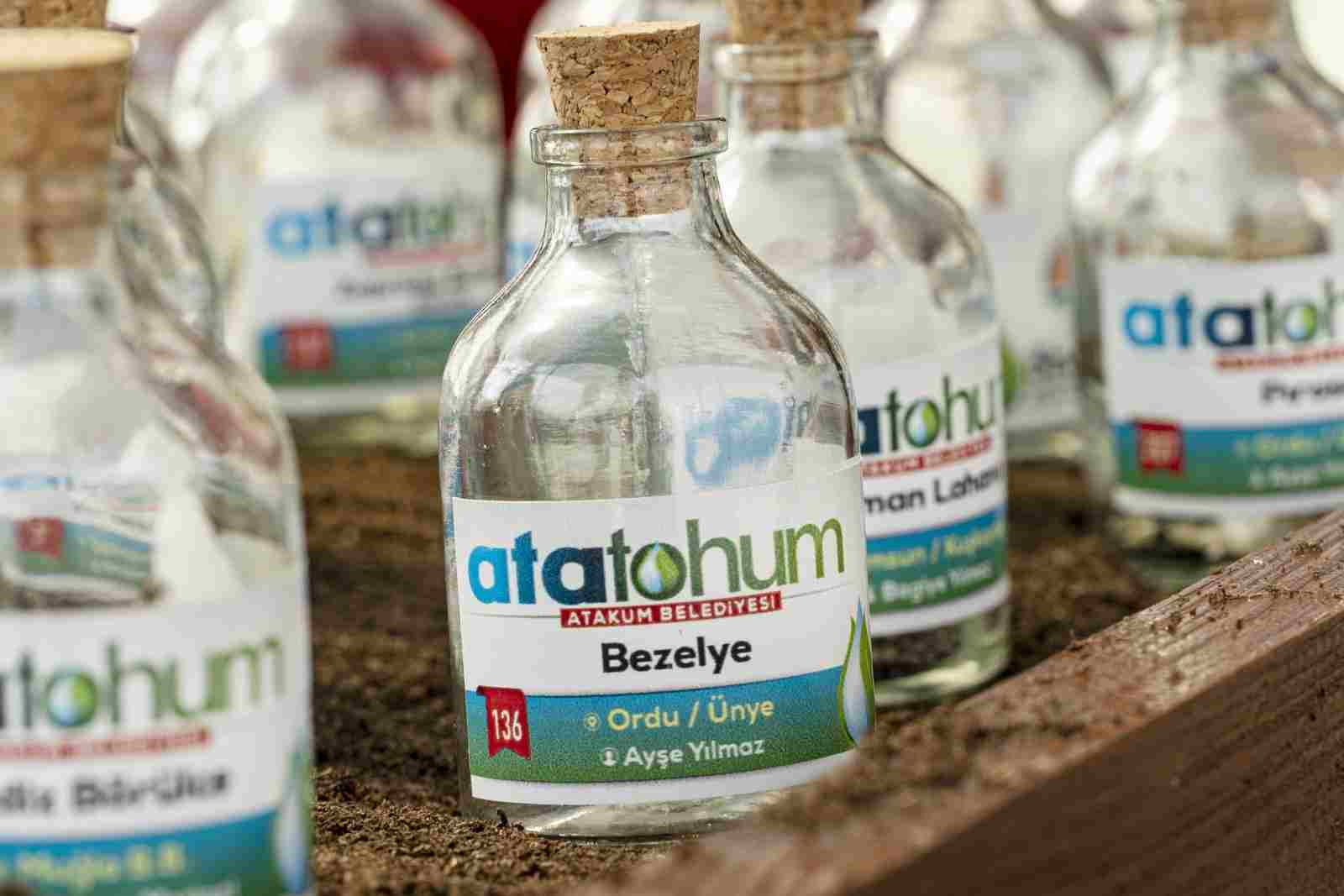 AtaTohum'da İlk Hasat Yapıldı