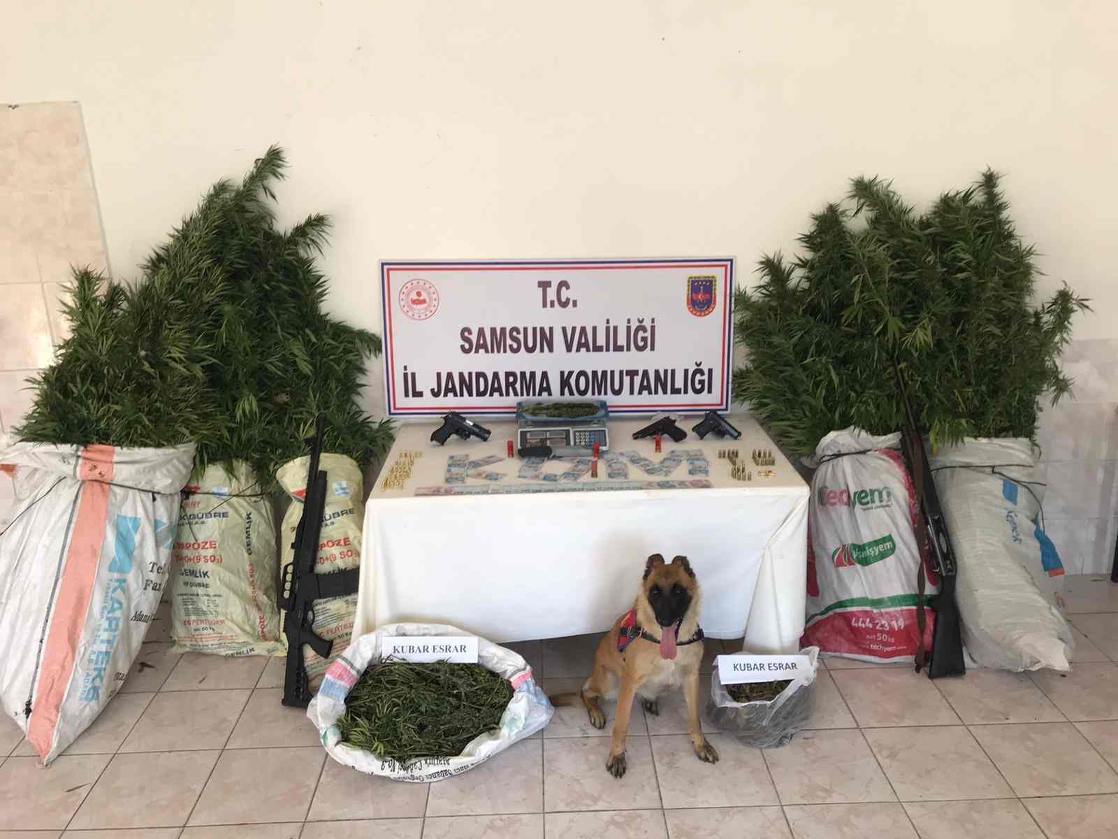 Cephanelik Gibi Ev Çıktı