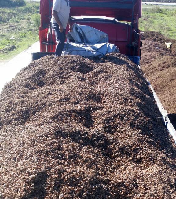 Çarşamba Biyokütle Enerji Santrali 100 Bin Ton Atık Aldı