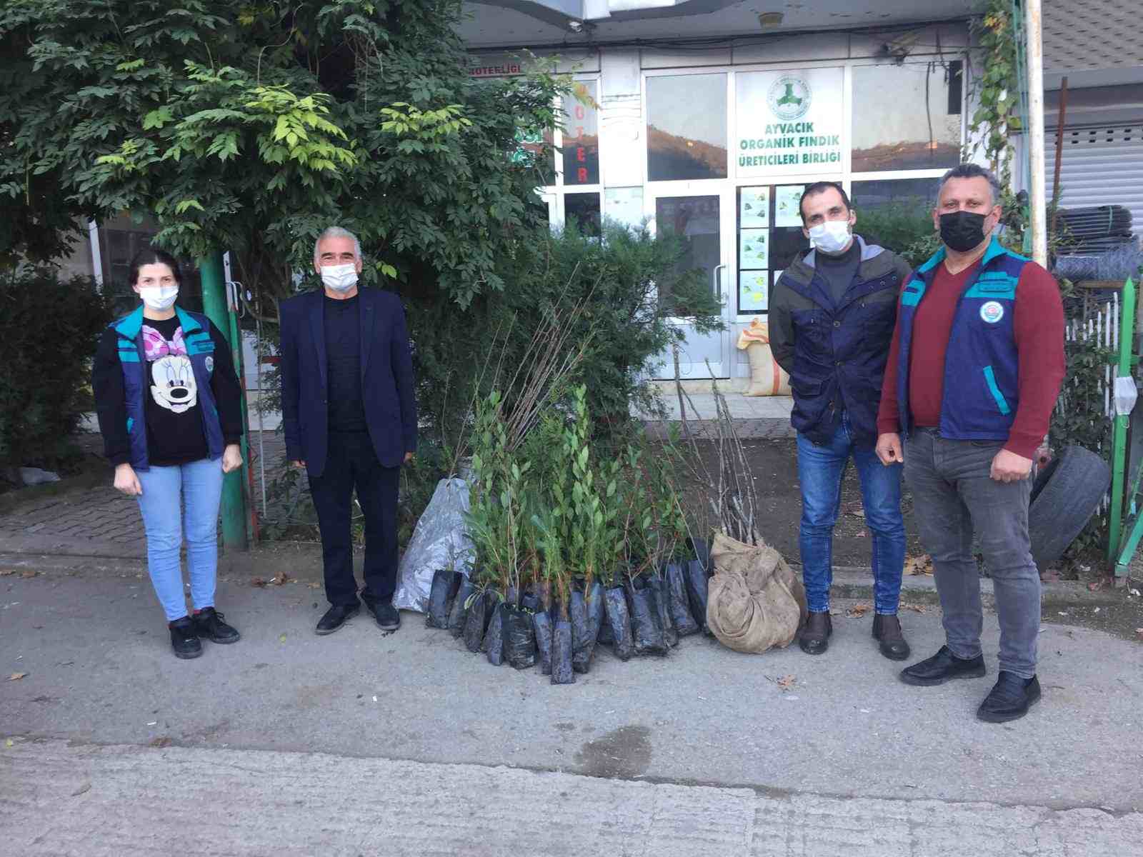 Ayvacık'ta Meyve Fidanları Toprakla Buluştu