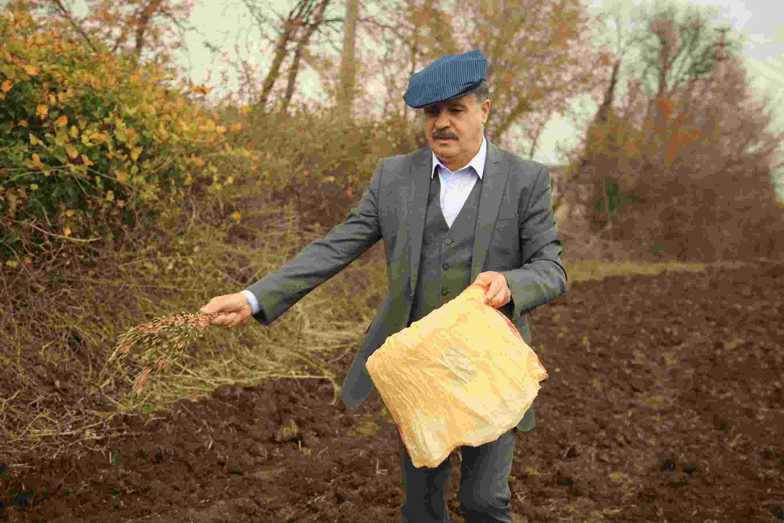 Atalık 'Iza Buğdayı' Toprakla Buluştu
