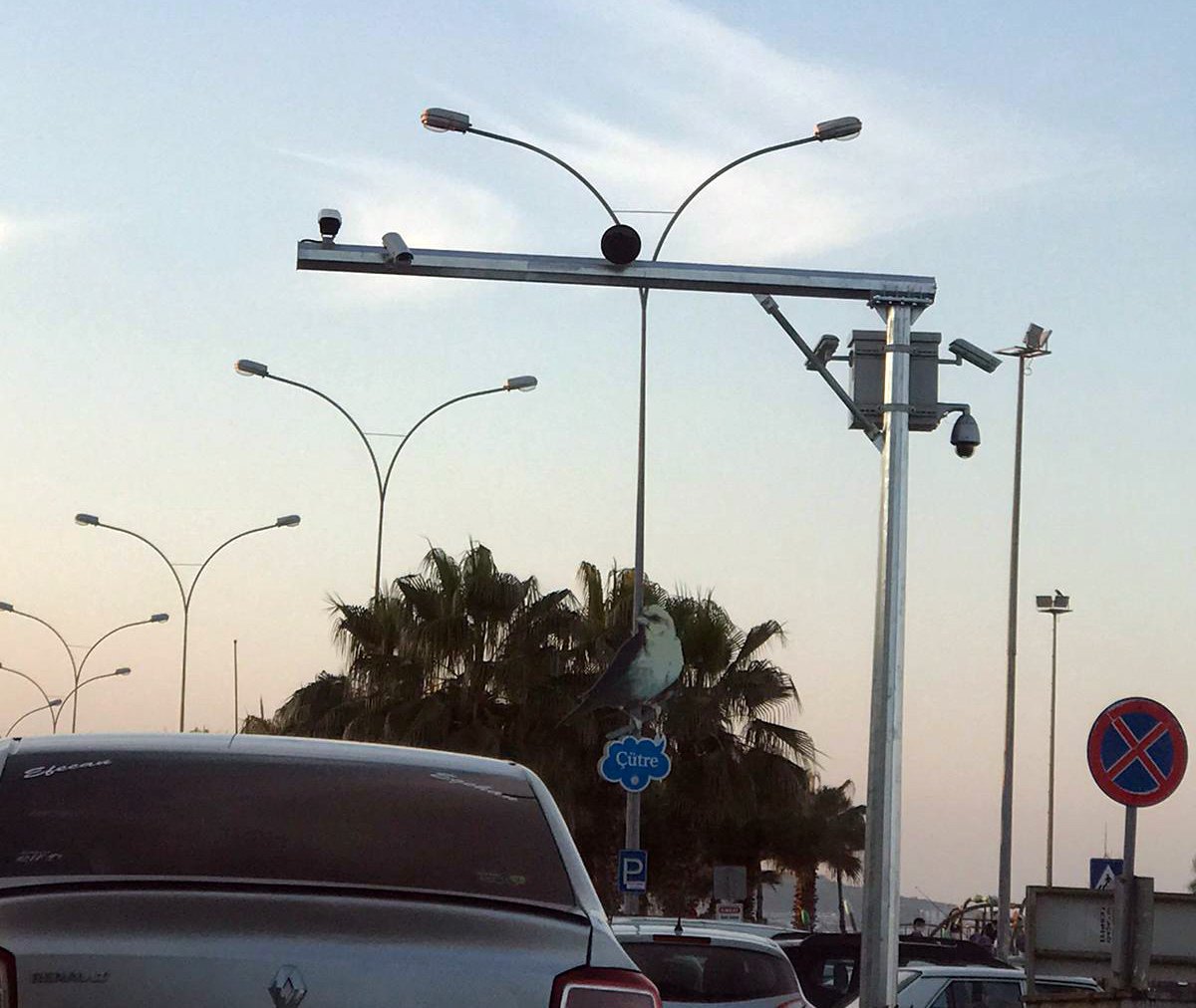 Vatandaş Can Derdinde Büyükşehir Kamera