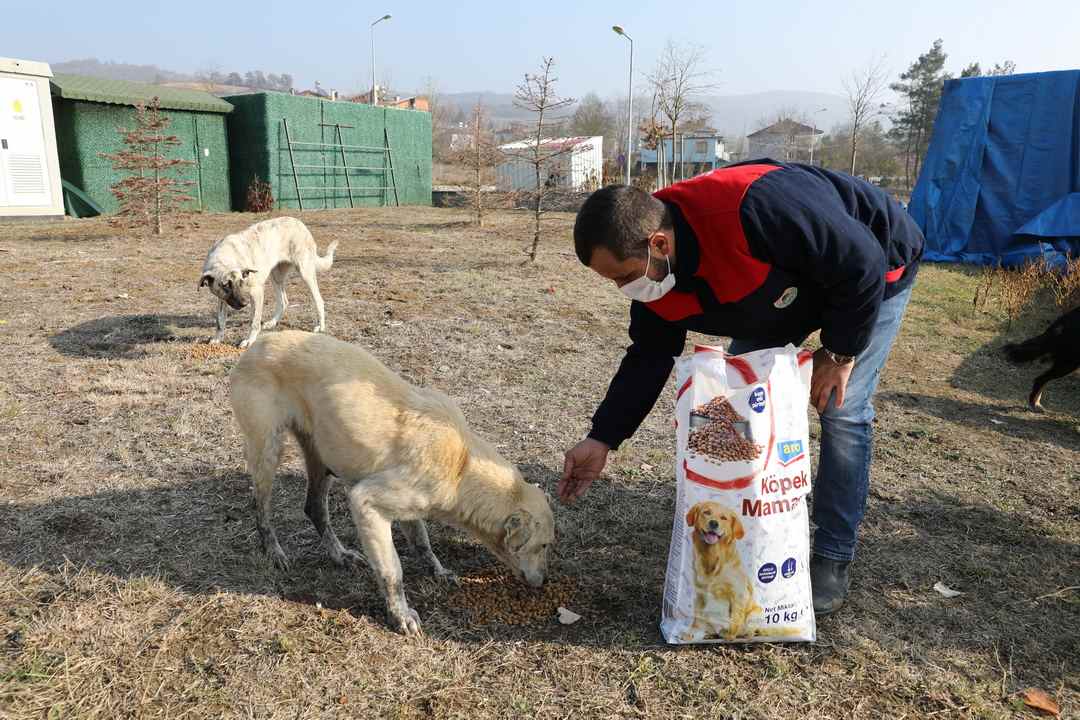 İlkadım’da Can Dostları Unutulmadı