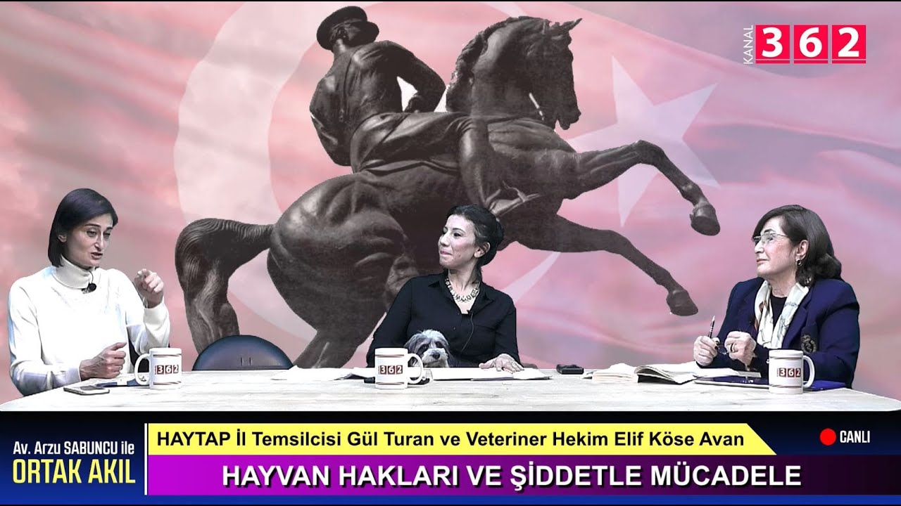 Ortak Akıl – 12. Bölüm (02 Aralık 2020)