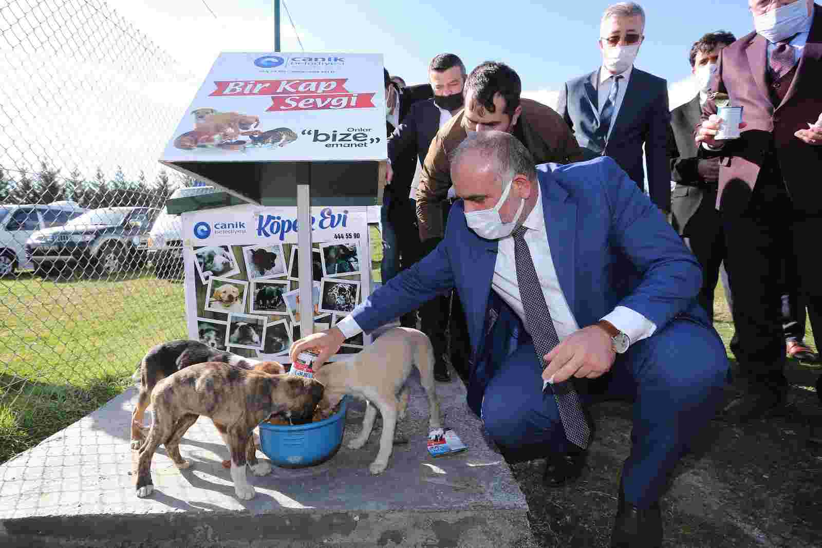 SAMÜ Kampüsünde Can Dostlara Yuva