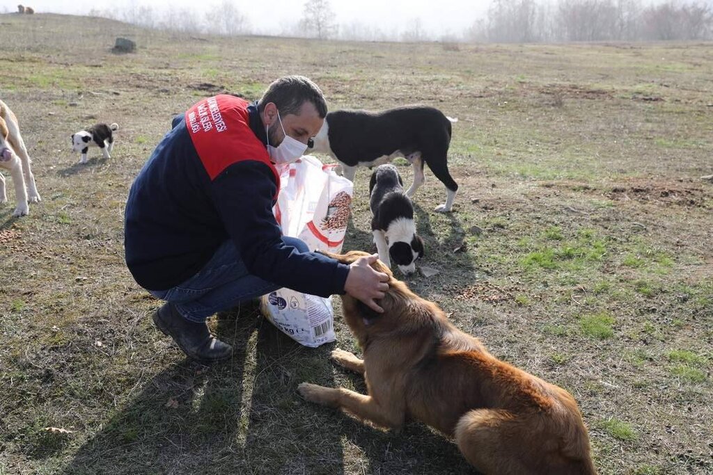 İlkadım Sessiz Dostları Unutmadı