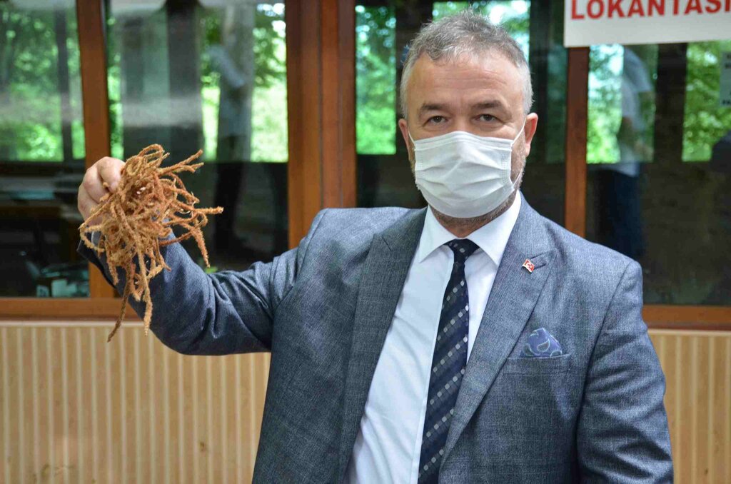 19 Mayıs’a Yöresel Ürünler Pazarı Kurulacak