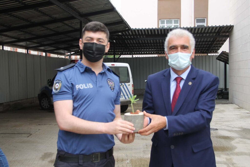 Ayvacık Ziraat'tan Sukulent Çiçeği