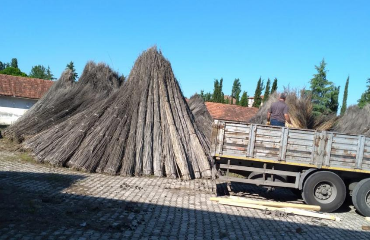 Kenevir Sapını Denizli'ye Sattı