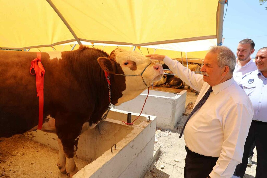 İlkadım'dan ‘Kurbanınız Sevince Dönüşsün’ Kampanyası