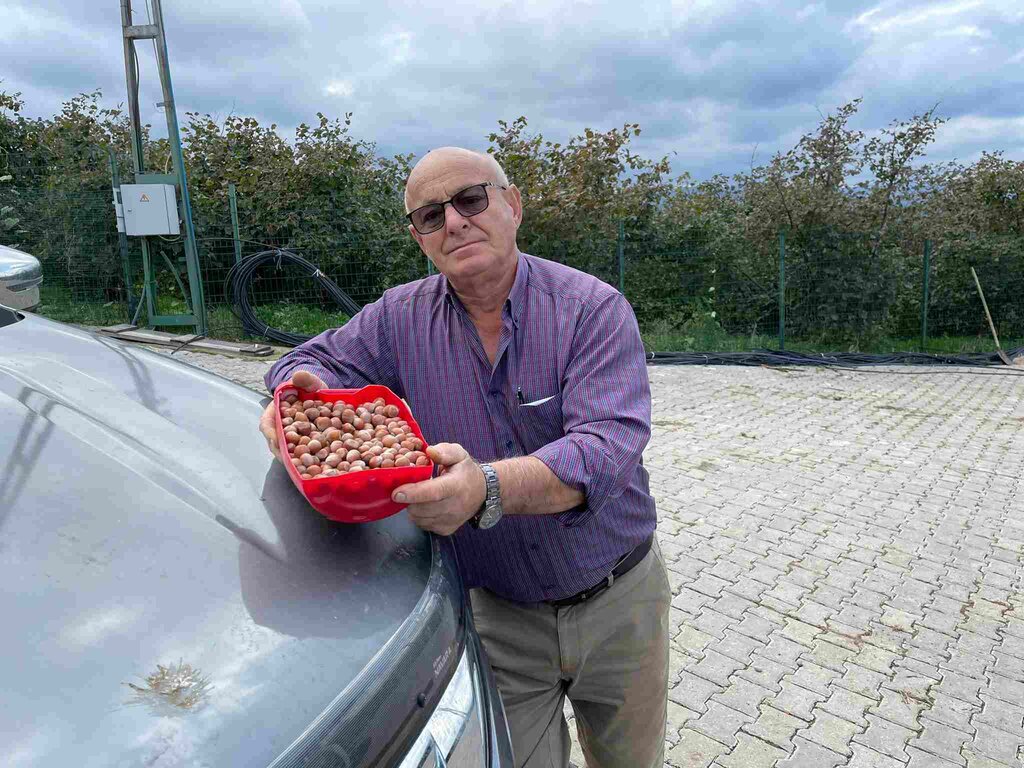 Çarşamba TMO'da Randıman Krizi