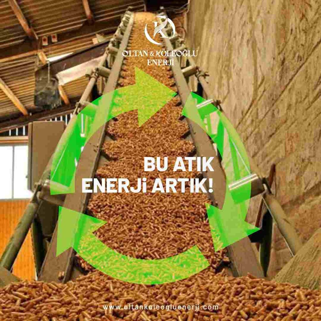 Enerjide Biyokütle Avantajı
