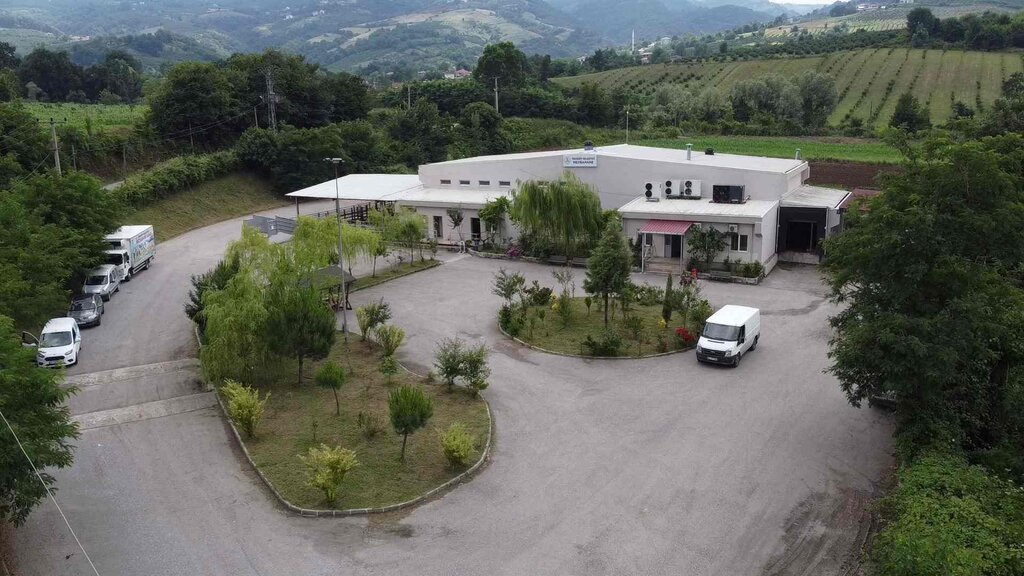 Samsun’un Tek Ruhsatlı Mezbahası Kurban Bayramı’na Hazır