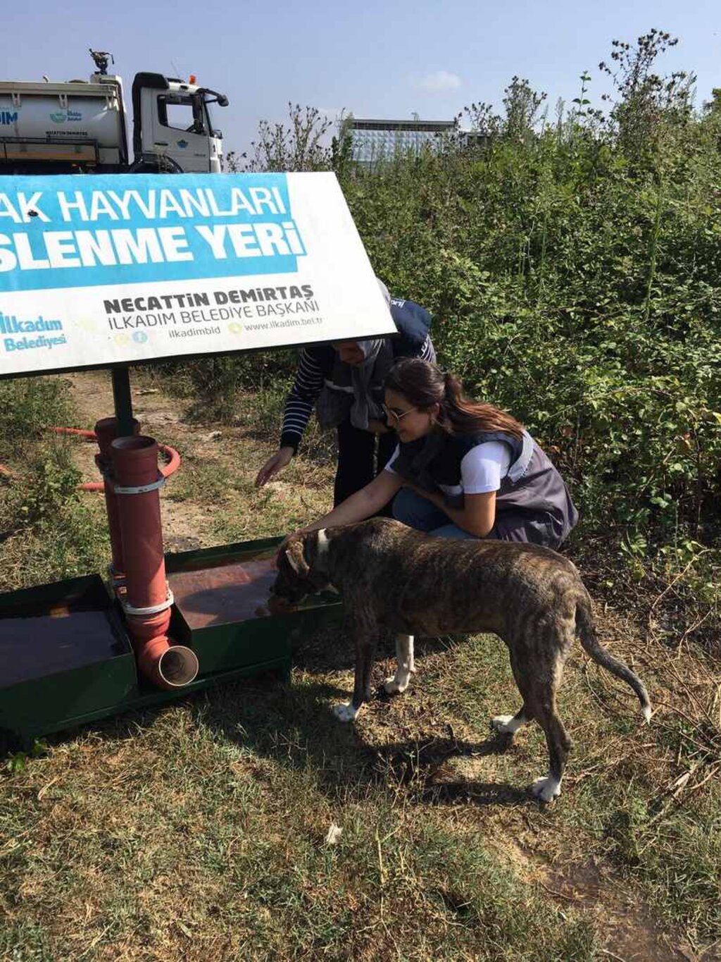 İlkadım’da Sıcak Yaz Günlerinde Can Dostlara Su Takviyesi