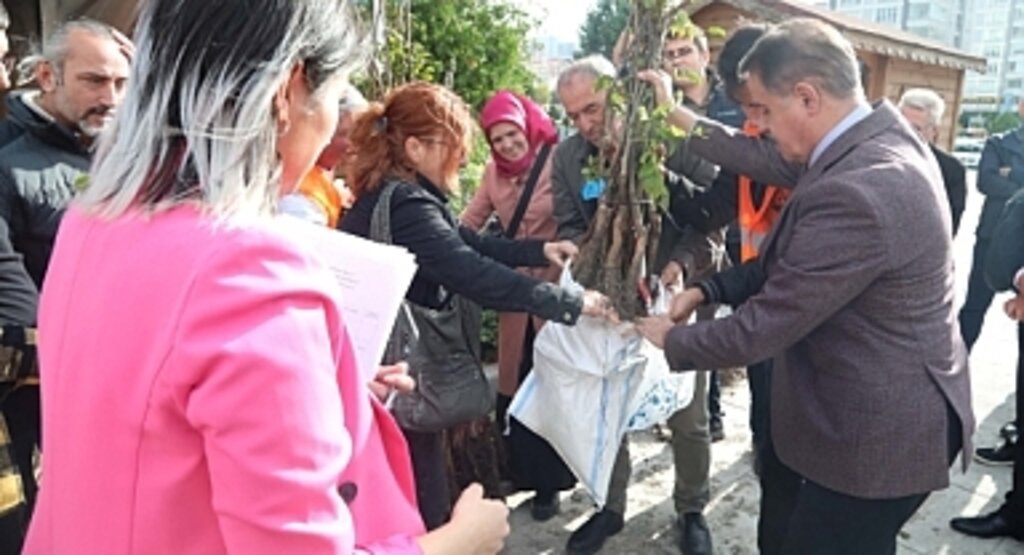 Atakum'da Üreticiye Ceviz Fidanı Desteği