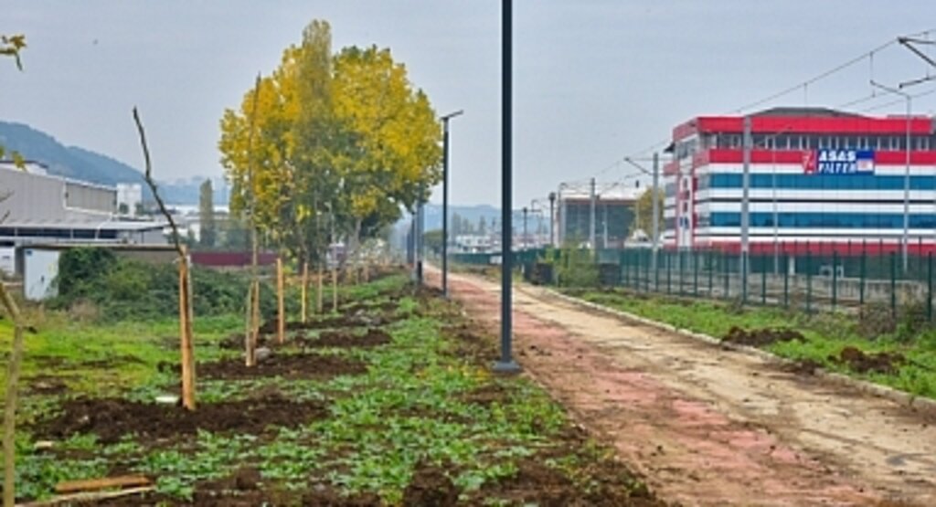 Tekkeköy’de 1500 Fidan Toprakla Buluştu