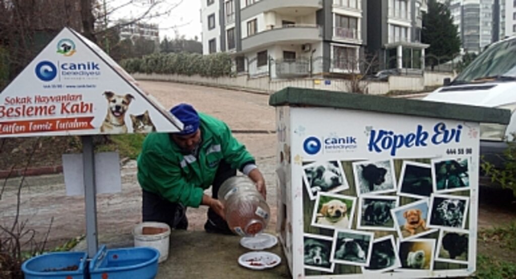 Canik Belediyesi Can Dostları Yalnız Bırakmıyor