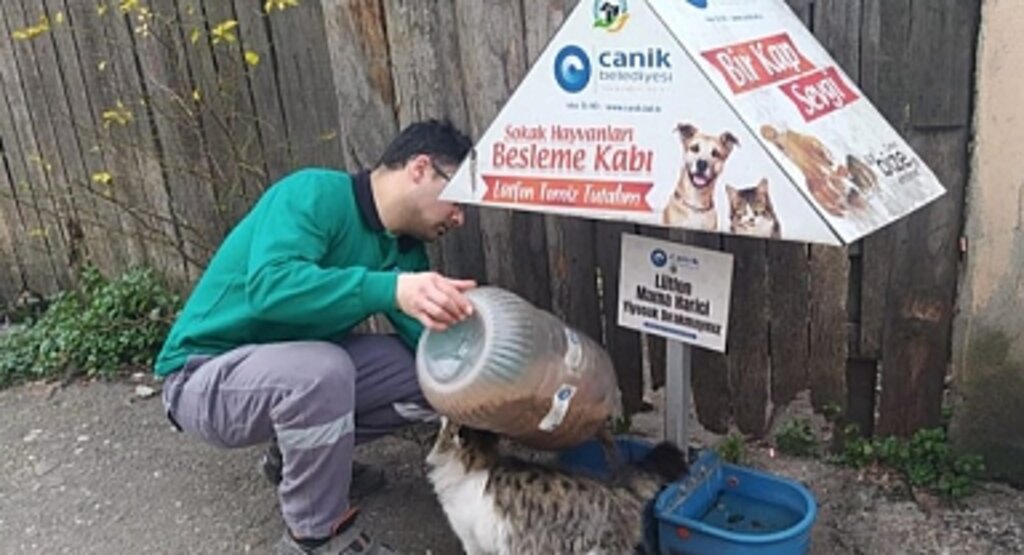 Canik Belediyesi Can Dostları İçin Sahada