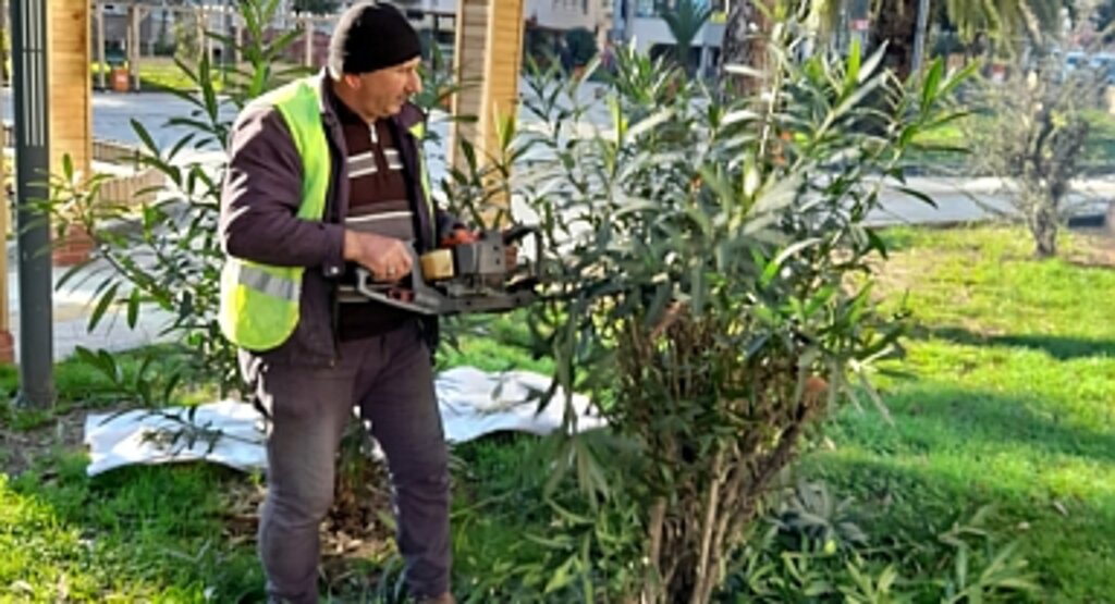İlkadım'daki Parklarda Yeşil Doku Öne Çıkarıyor