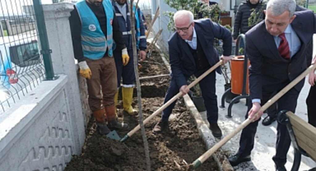 Tekkeköy’de Binlerce Fidan Toprakla Buluştu