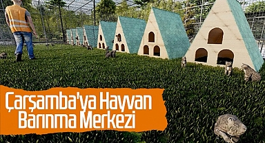 Çarşamba Belediyesi’nden Sokak Hayvanlarına ‘Geçici Bakım Merkezi’
