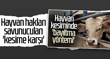 Hayvan Hakları Savunucuları Kesime Karşı