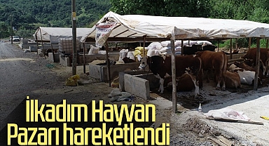 İlkadım Hayvan Pazarına İlk Kurbanlıklar Geldi