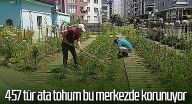 Ata Tohum'da 457 Tür Korunuyor