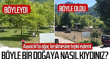 Ayvacık'ta ağaç kesilmesine tepki eylemi! Böyle bir doğaya nasıl kıydınız?