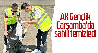 Çarşamba'da AK Gençlik Sahili Temizledi