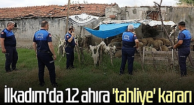 İlkadım'da 12 Ahıra Tahliye Kararı