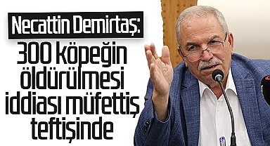 O Köpekler Öldüyse Vay Geldi Başına!