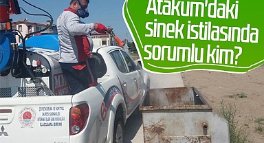 Sinek İstilasında Sorumlu Kim?