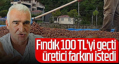 Fındık 100 TL'yi Geçti Üretici Farkını İstedi