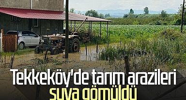 Tekkeköy'de Tarım Arazileri Suya Gömüldü