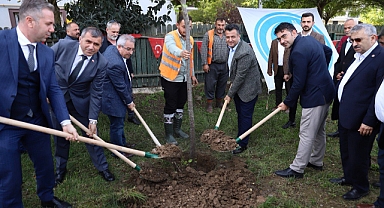Çarşamba'da Binlerce Fidan Toprakla Buluştu