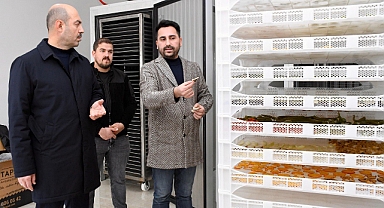 Terme Belediyesi'nden Alternatif Tarıma Öncü Proje