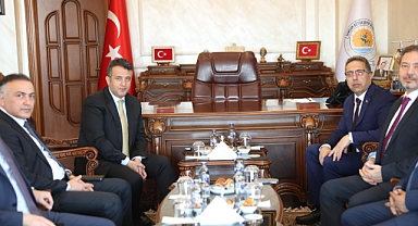 Milyonlarca Samuray Arısı Kokarcanın Peşine Düşecek