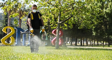 Samsun'da Kenelere Karşı Savaş Başladı