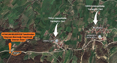Atakum'daki Hayvan Barınak Yeri Yanlış Yöre Sakinleri Haklı